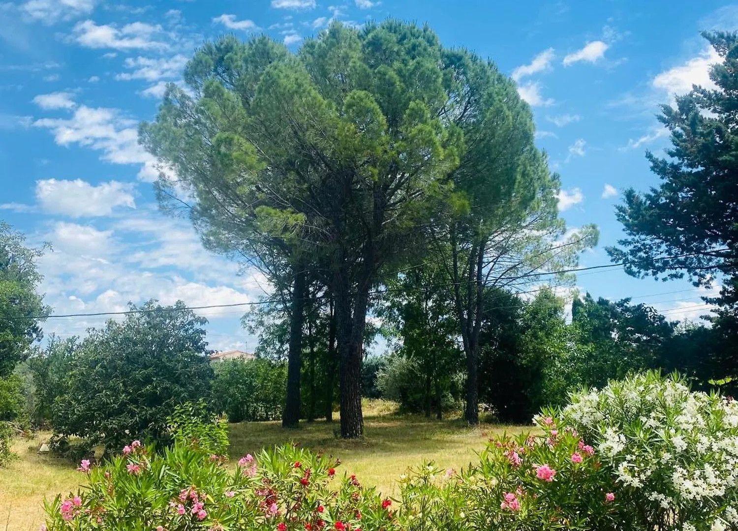 Bastide Provencale Avec Piscine Villa Cotignac 0*,  France