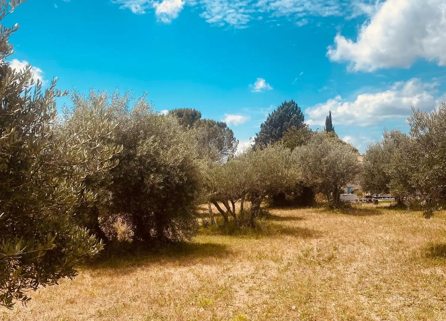 Bastide Provencale Avec Piscine Villa Cotignac
